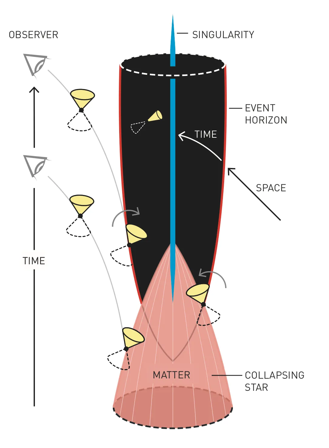 The Cross-Section of a Black Hole