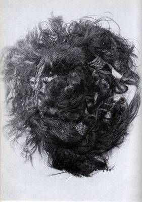 Arden Hair