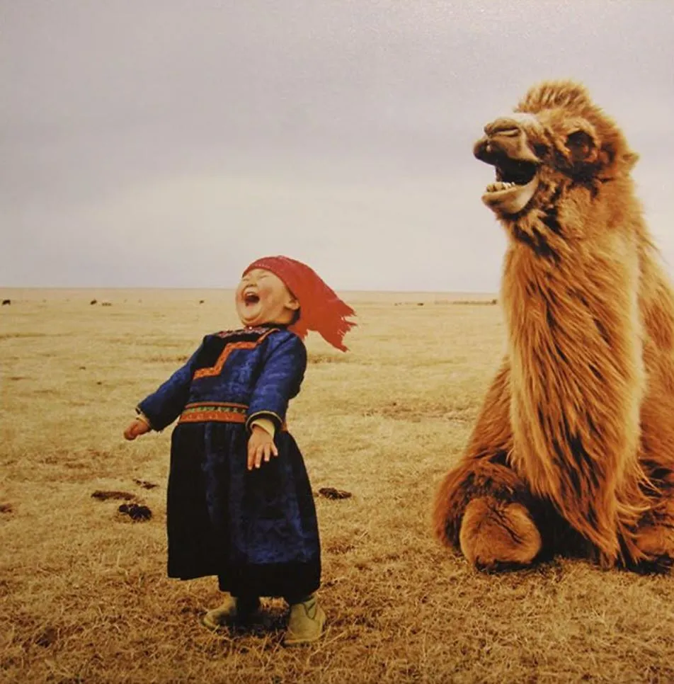 Mongolian Girl Has a Laugh with her Camel