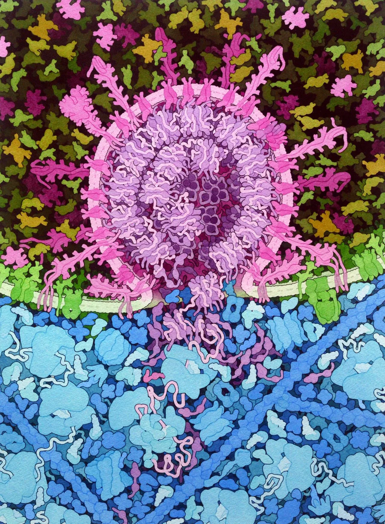 Art by David S. Goodsell