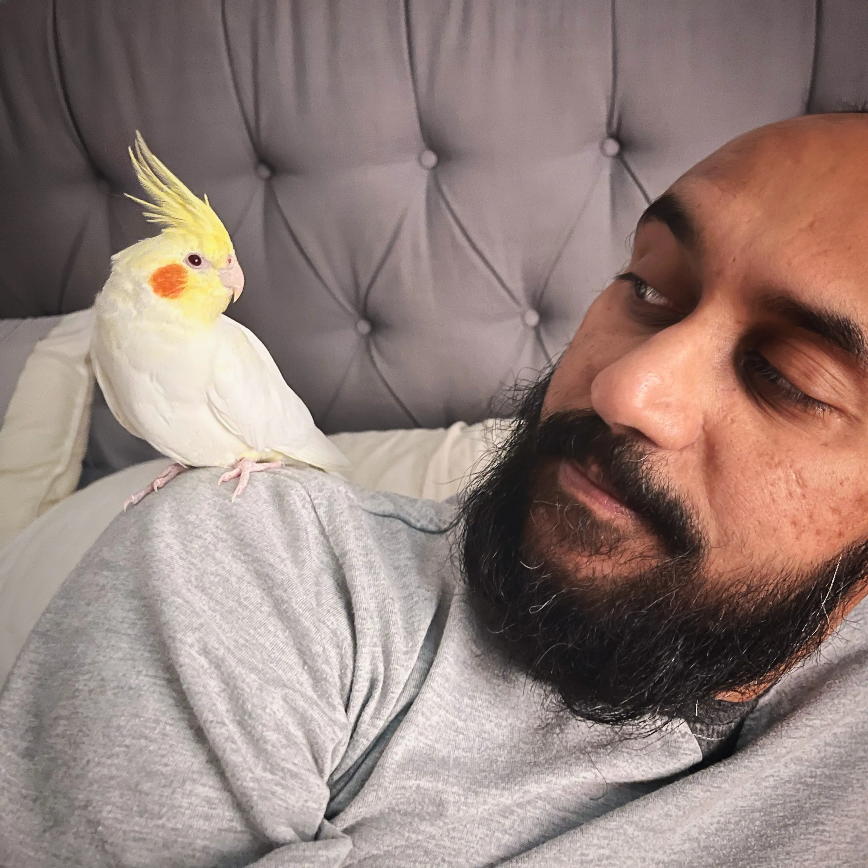 Me getting to know Zeus the Cockatiel right after waking up. I am simply in awe of how smart certain birds can be (and how long they can live!)